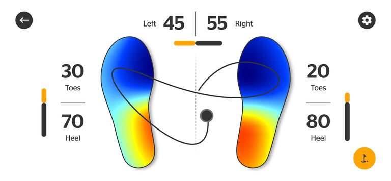 weight-distribution-center-of-pressure